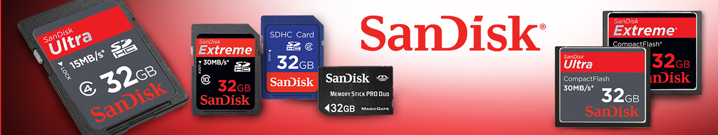 Promotie Sandisk