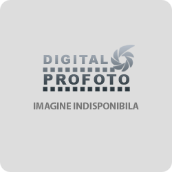 DigitalProFoto