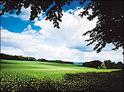 DigitalProFoto